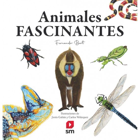 Animales fascinantes. Fernando Bort. Ediciones SM.