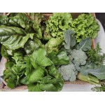 Cesta de verduras de tempada producidas en ecolóxico